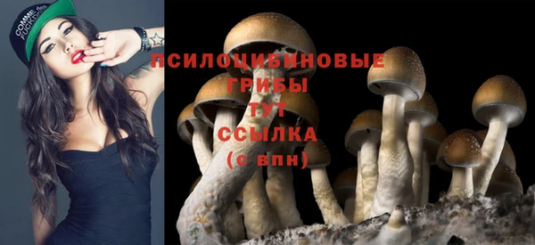 кокс Верхний Тагил