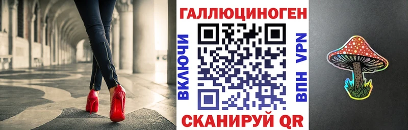 где купить наркотик  это как зайти  Галлюциногенные грибы Psilocybe  Чернушка 